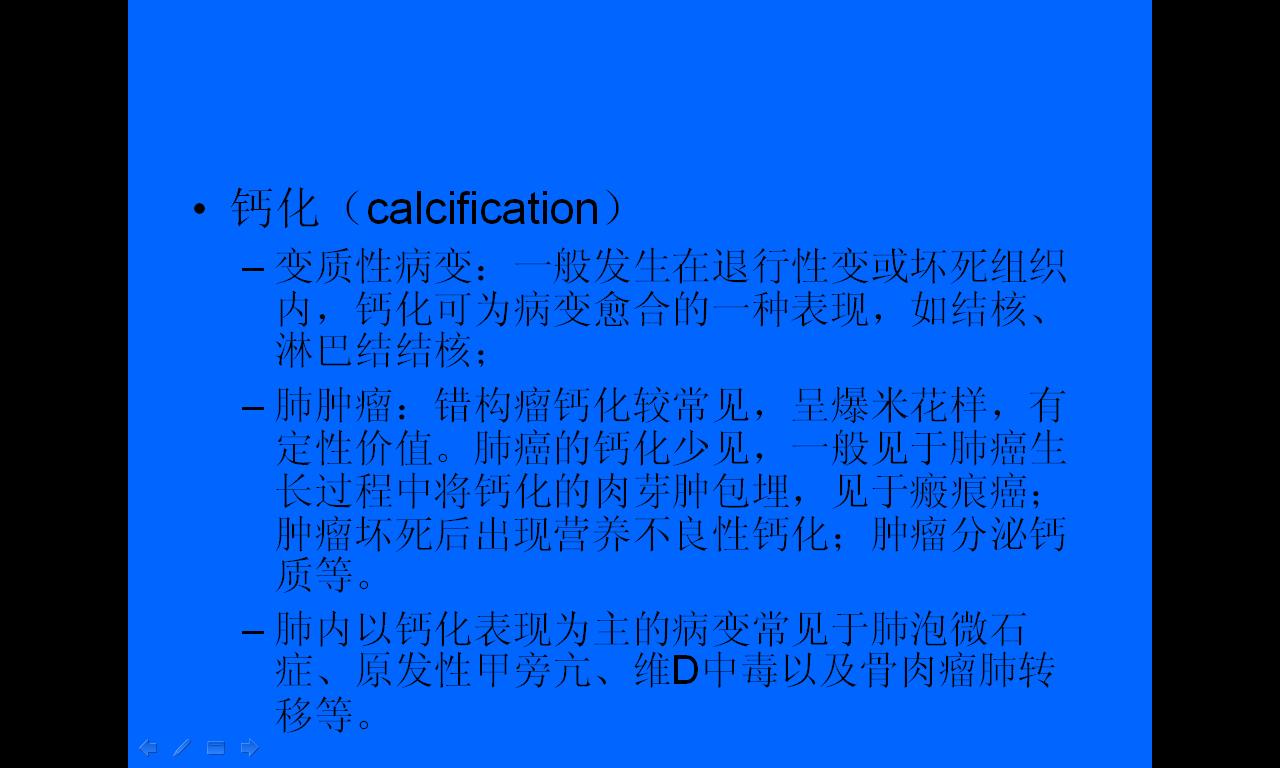 46.JPG