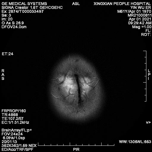 se019.jpg