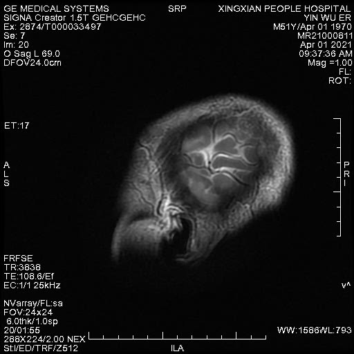 se099.jpg