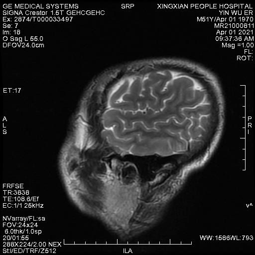 se097.jpg