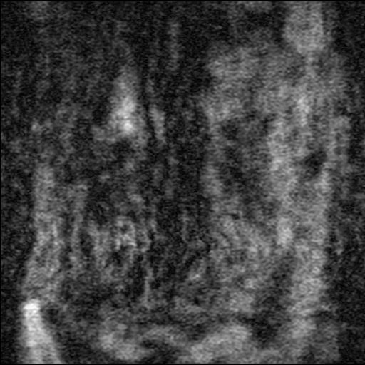 Y0001.jpg